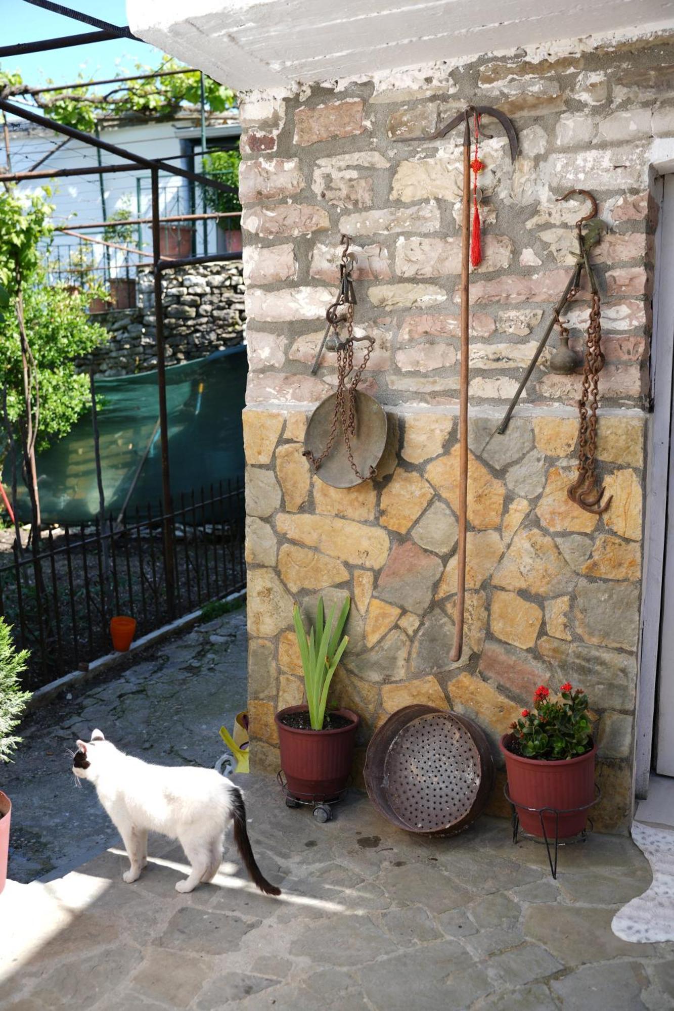 Guest House Denis Gjirokaster Exterior photo
